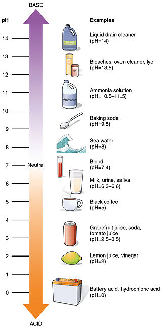 ph of bac water Quick Guide to pH in Drinking Water – Tap Score